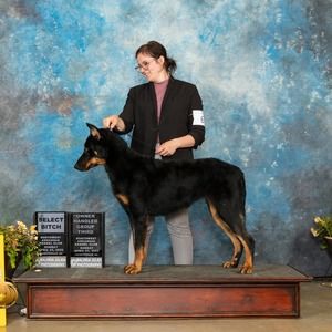 Meet your Posher, Erin